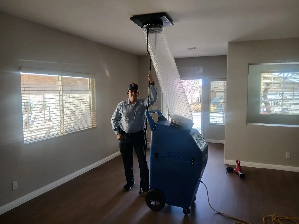 Professional Dryer Vent Cleaning work inside a Lee home